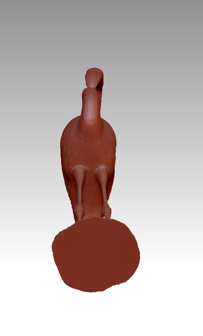 Linghe 3D model