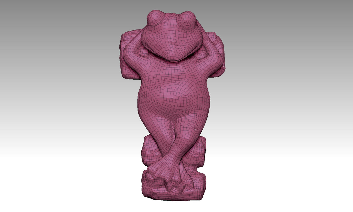 Frog Fun Radiance Realm