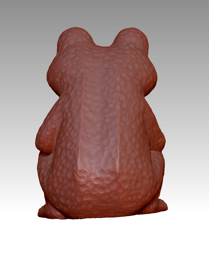 3D frog model