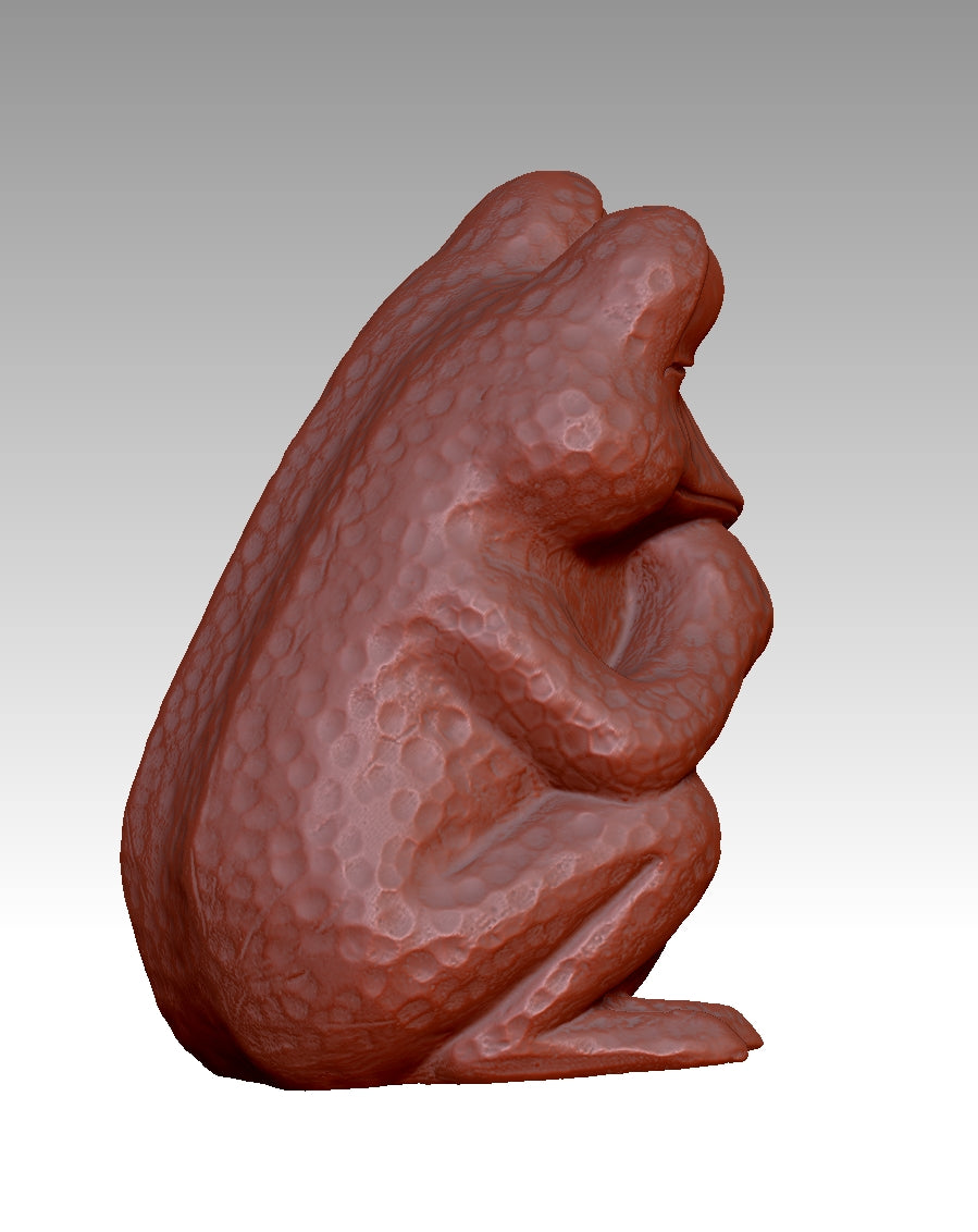 3D frog model