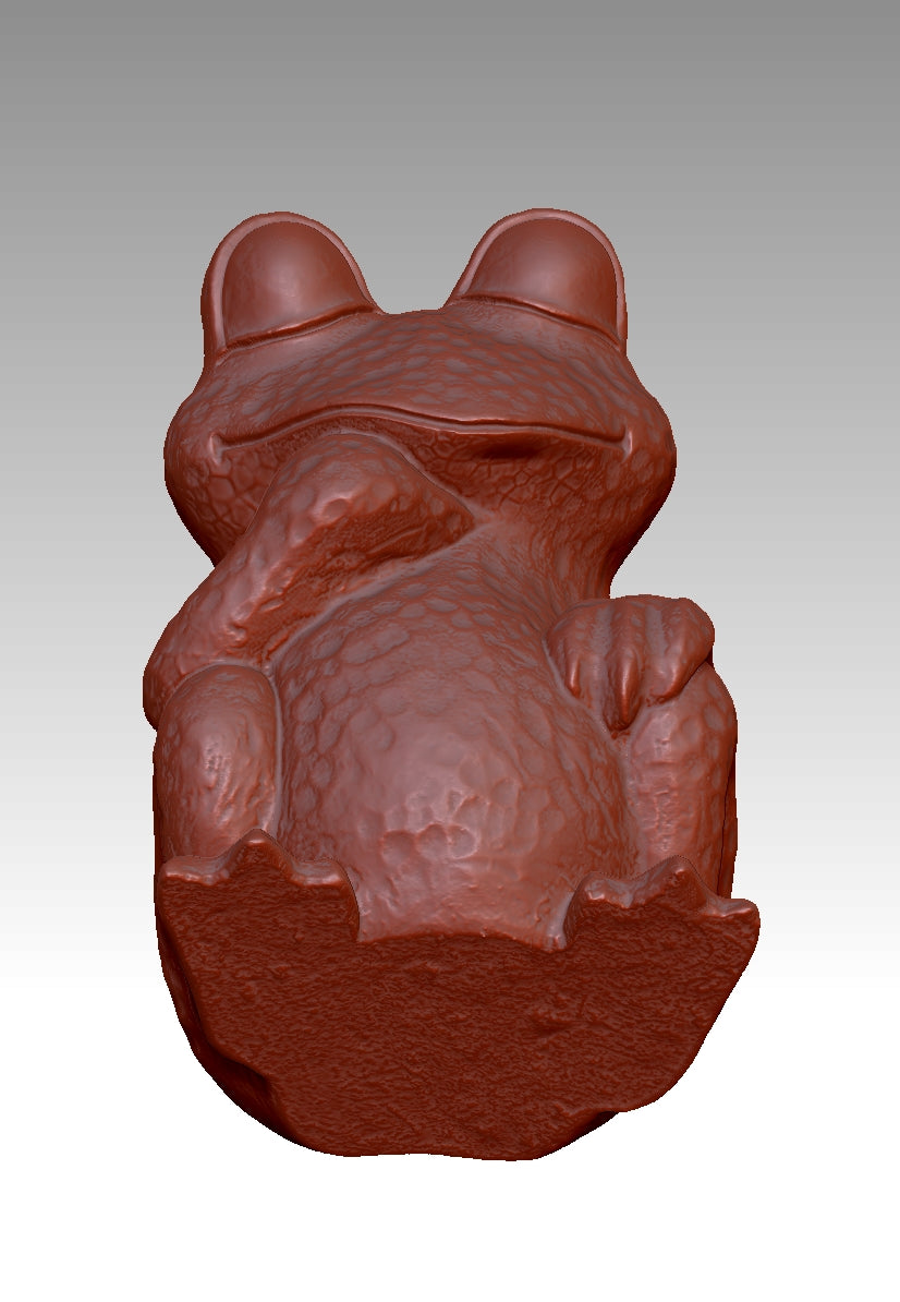 3D frog model