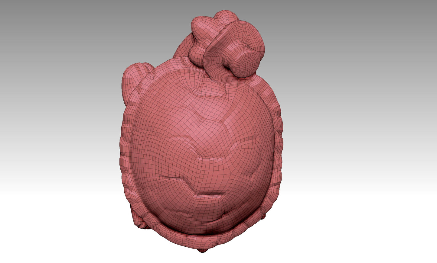 3D turtle model