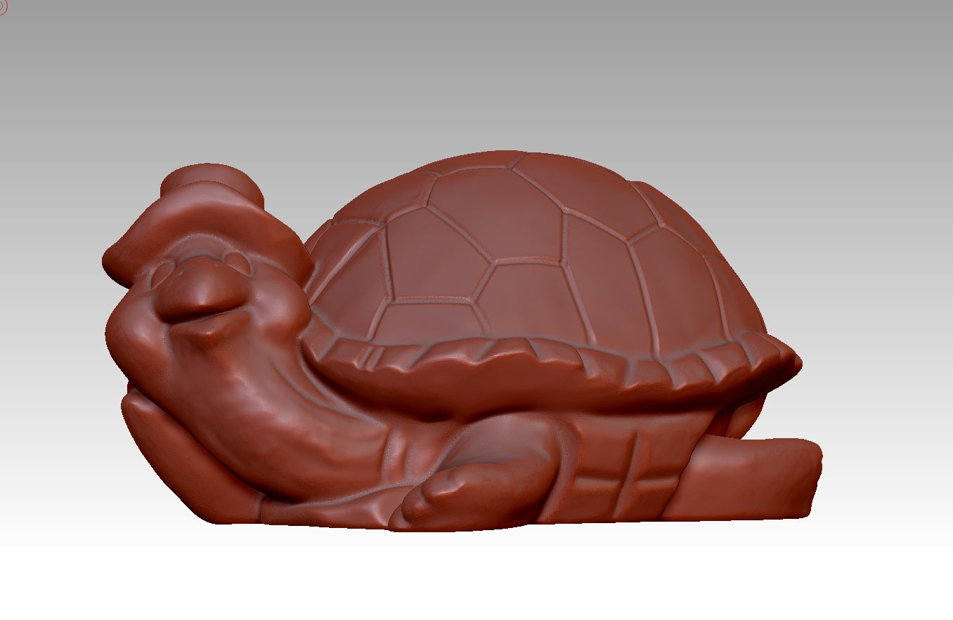 3D turtle model