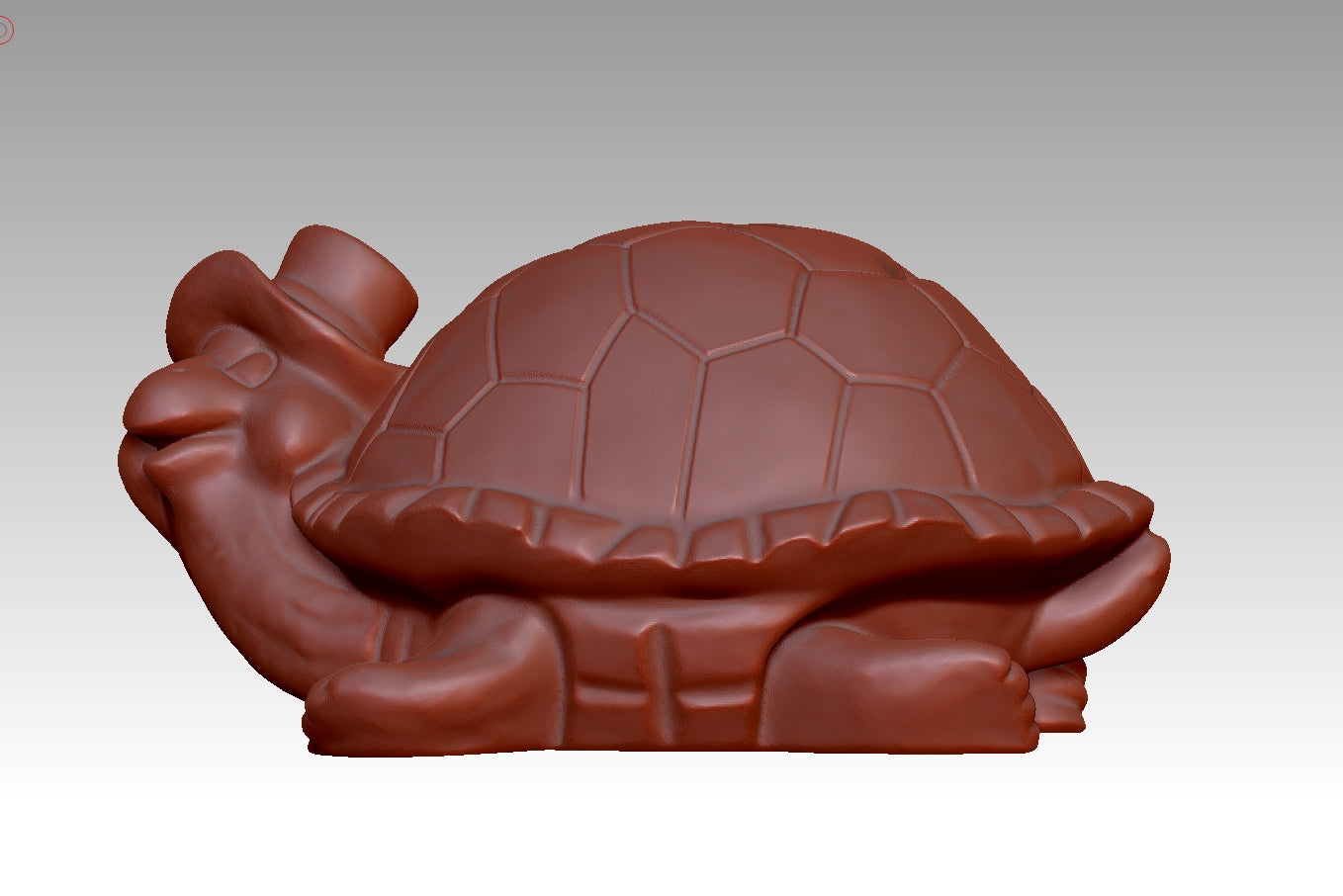 3D turtle model