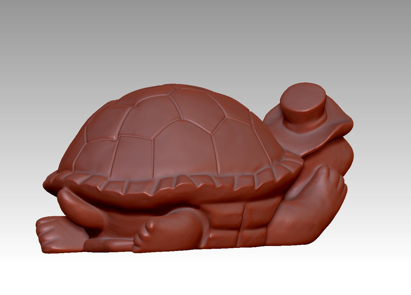 3D turtle model