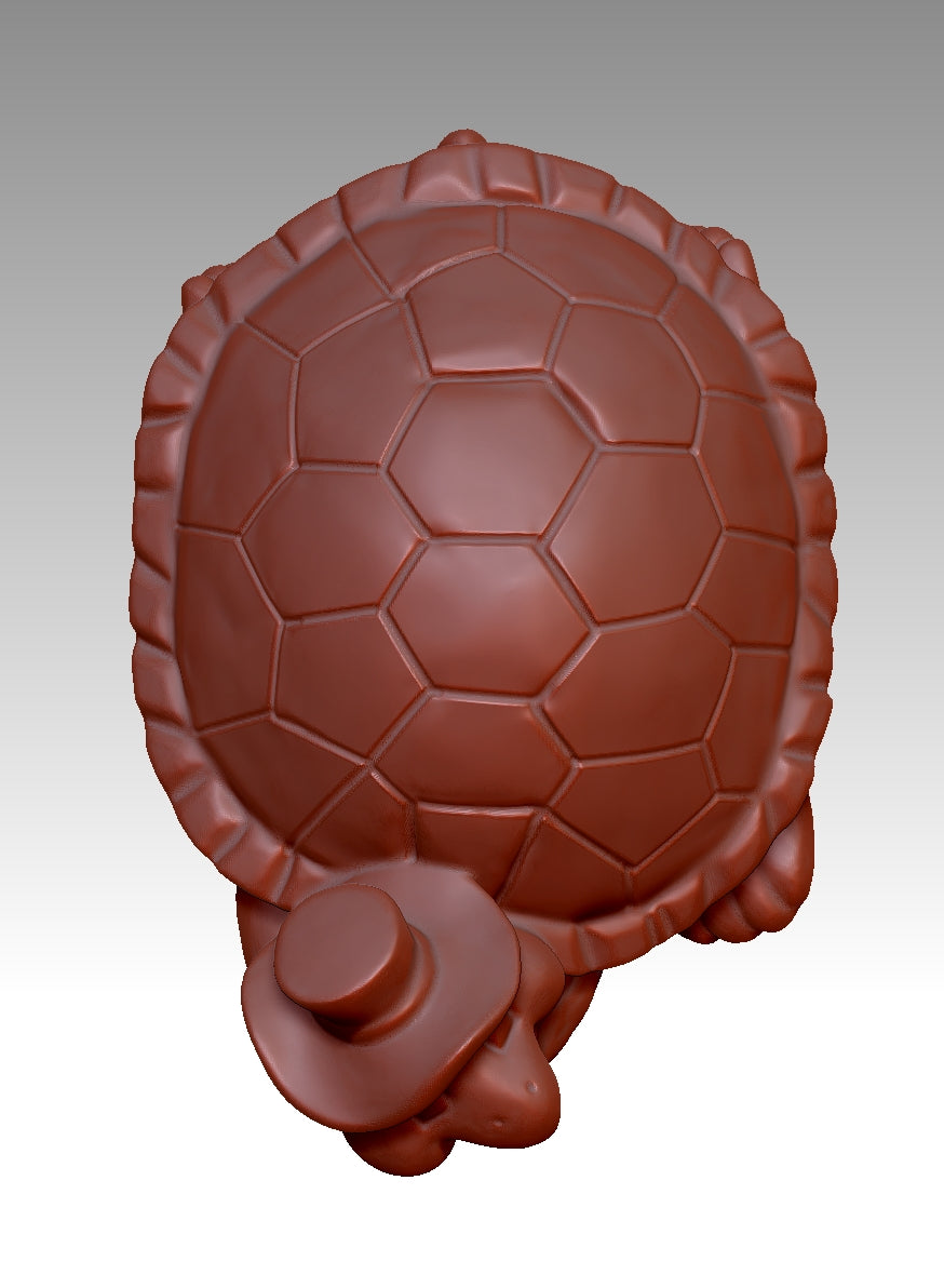 3D turtle model