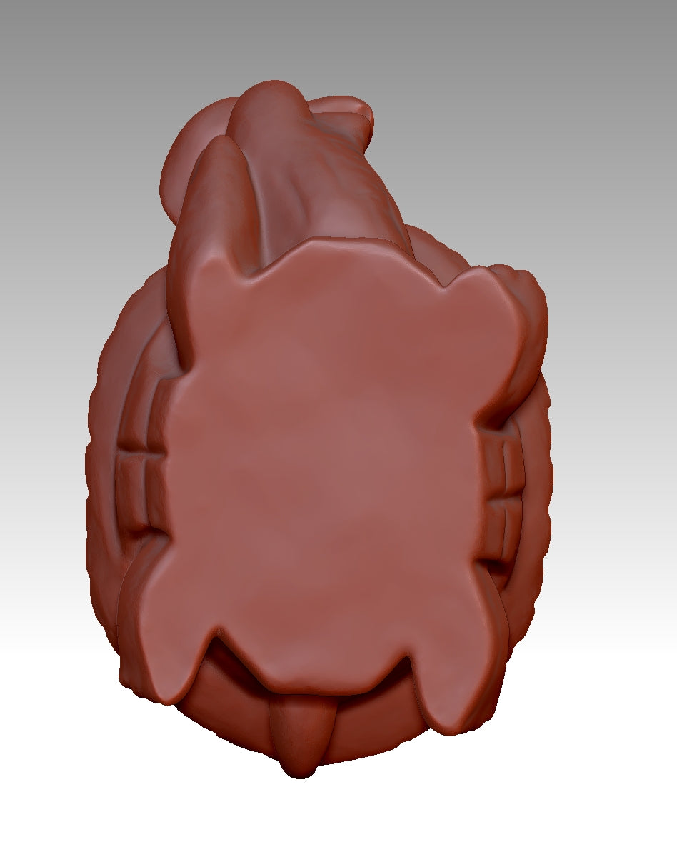 3D turtle model