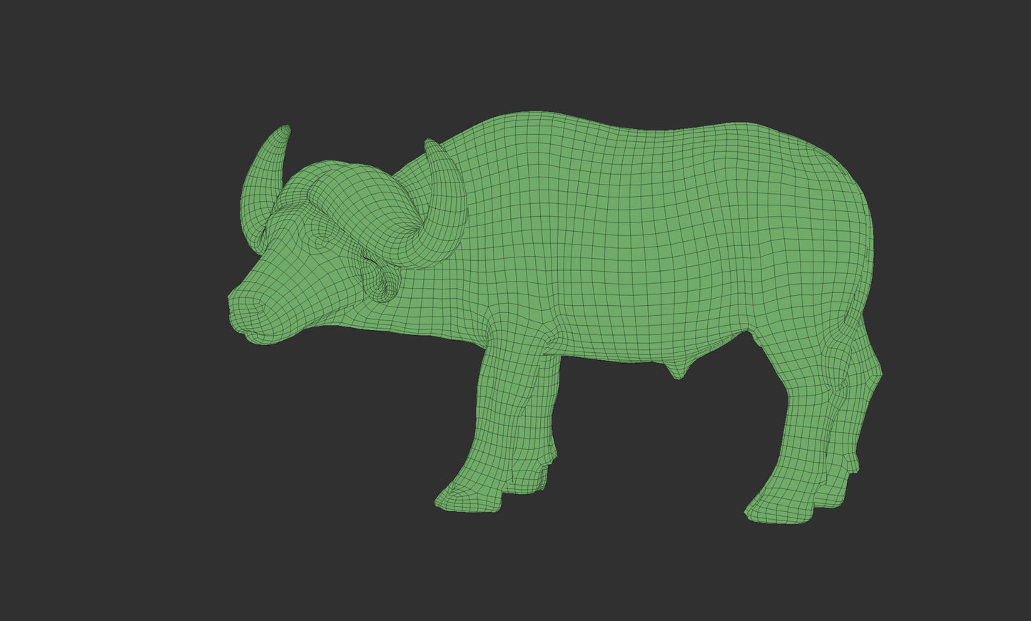 african buffalo 3Dmodel