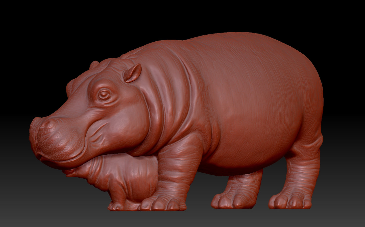 hippo 3D model