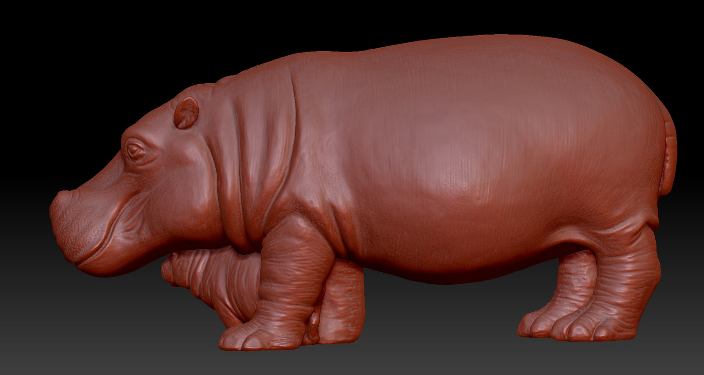 hippo 3D model