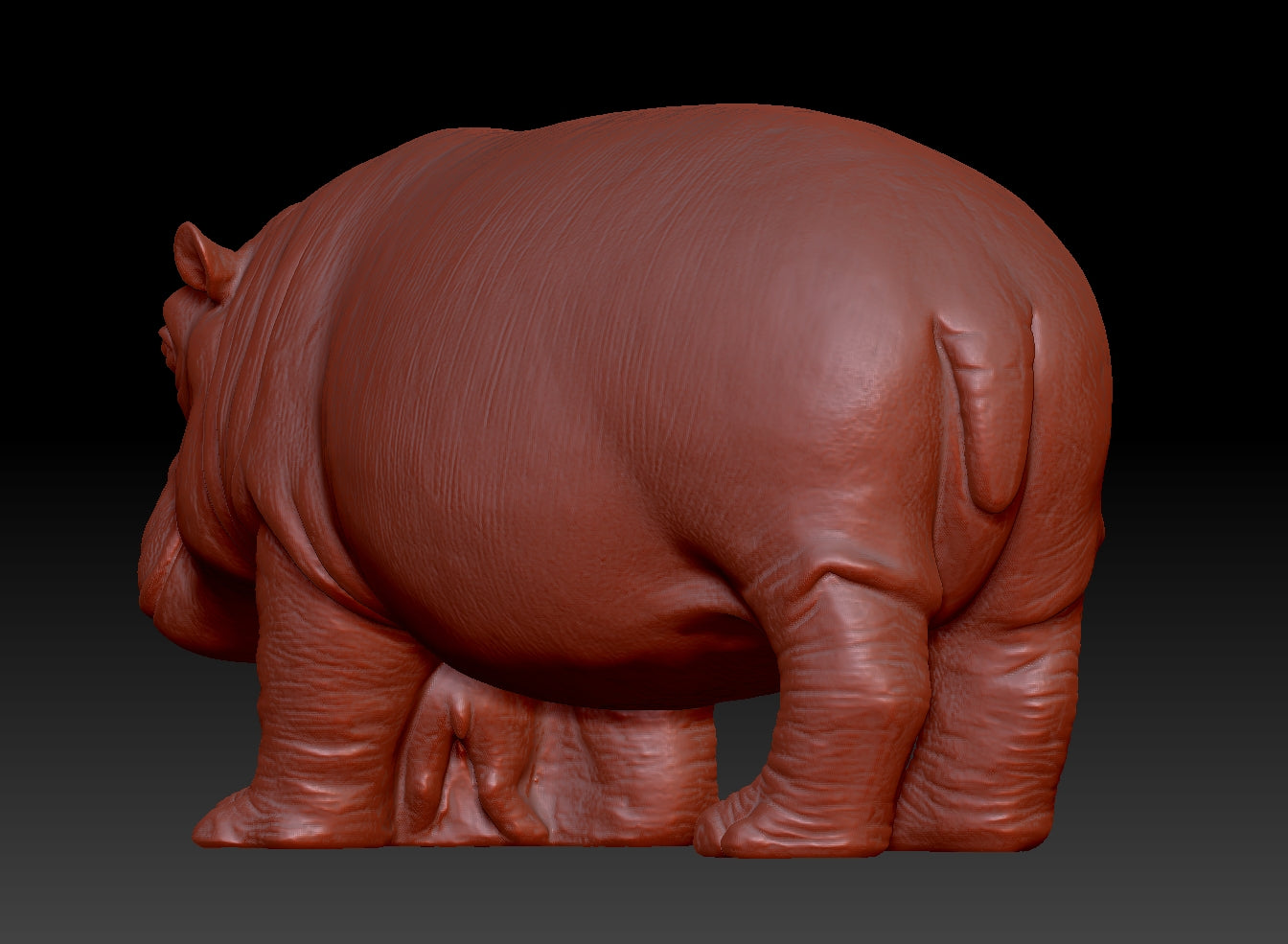 hippo 3D model