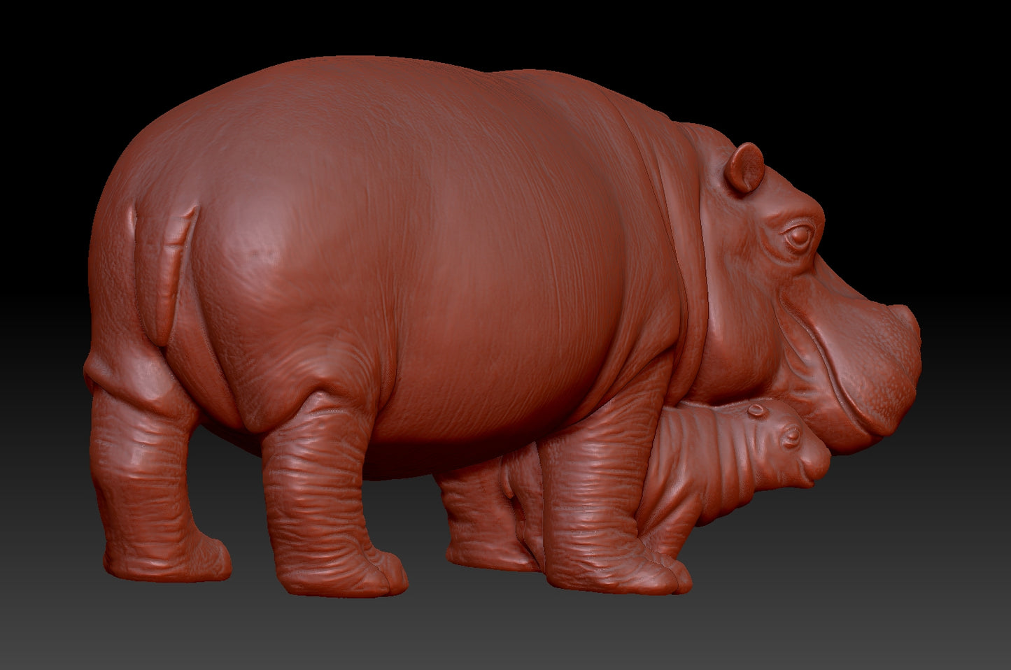 hippo 3D model