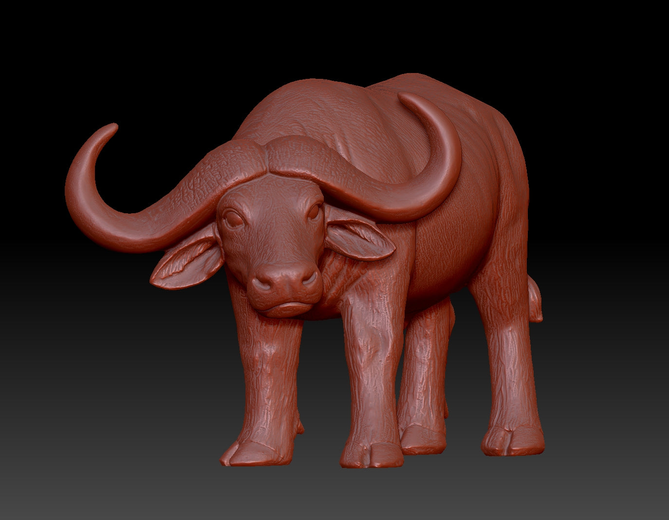 african buffalo 3Dmodel