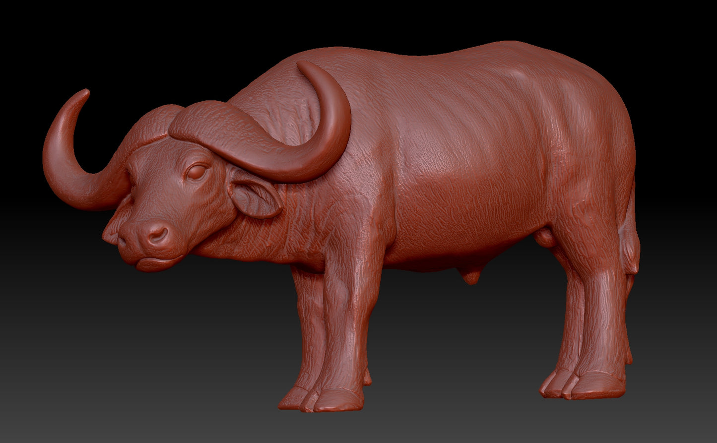 african buffalo 3Dmodel