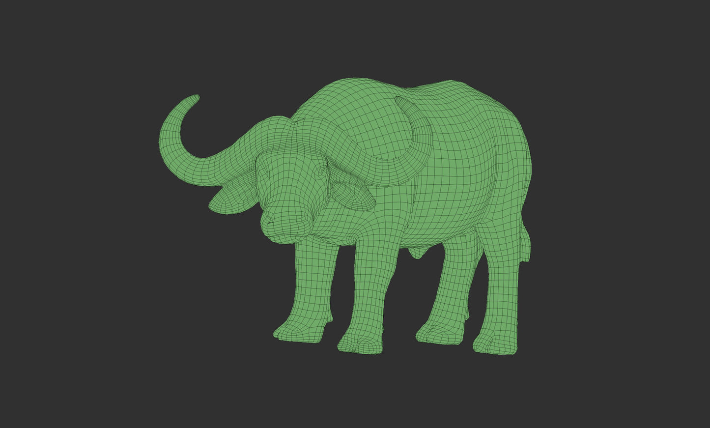 african buffalo 3Dmodel