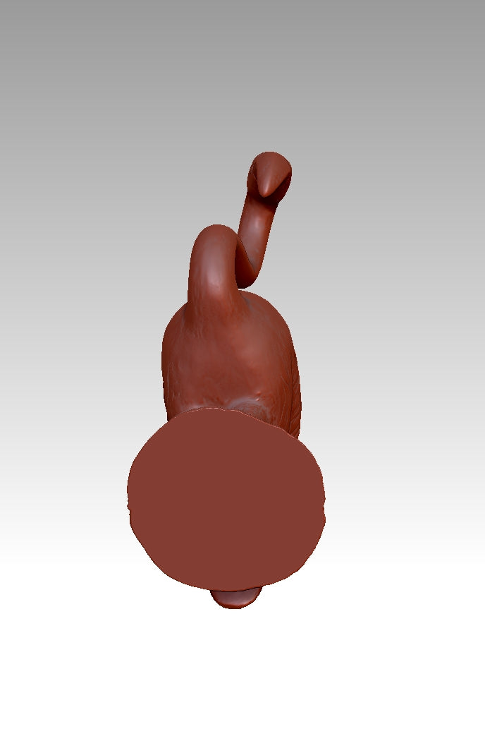 Linghe 3D model