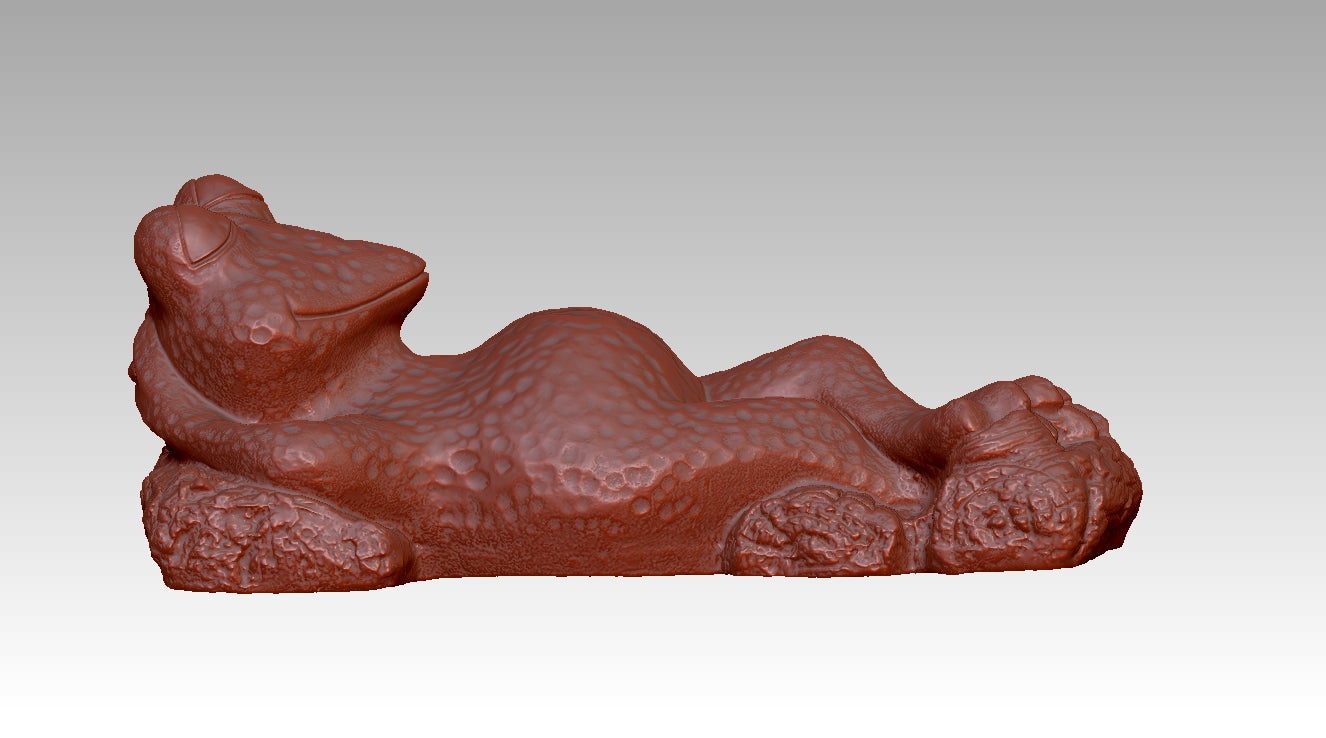 Frog Fun Radiance Realm