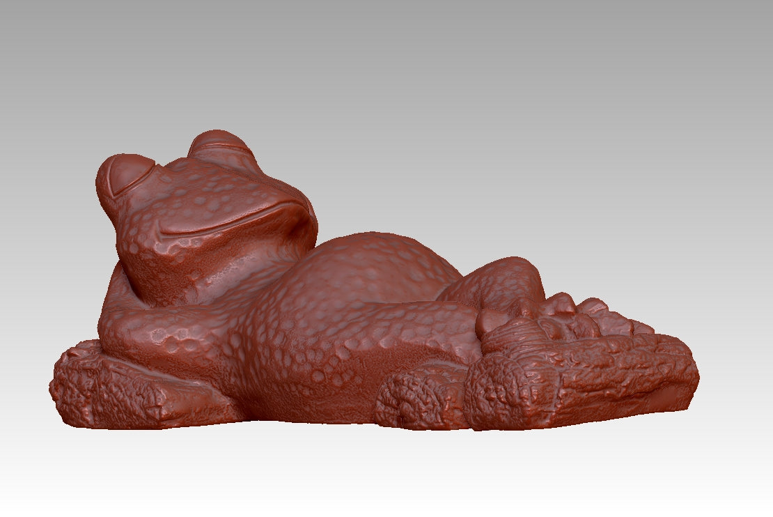 Frog Fun Radiance Realm