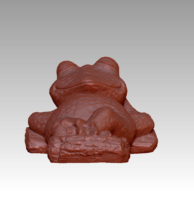 Frog Fun Radiance Realm