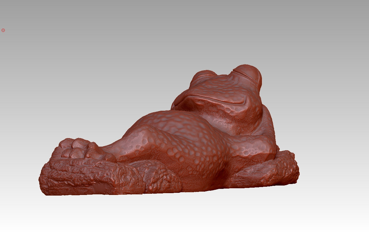 Frog Fun Radiance Realm