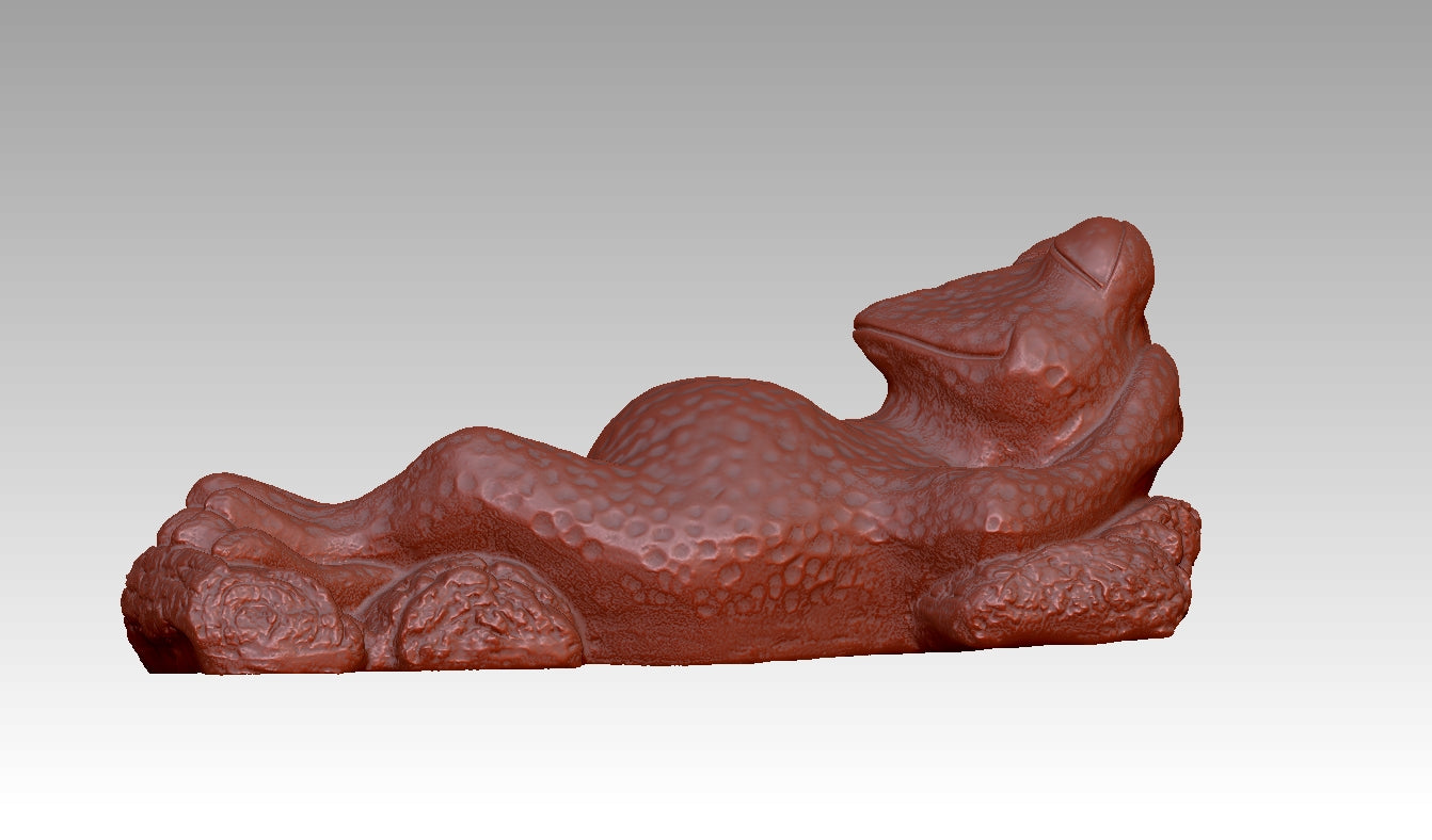 Frog Fun Radiance Realm