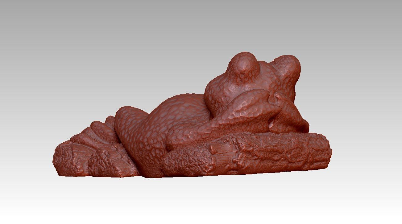 Frog Fun Radiance Realm