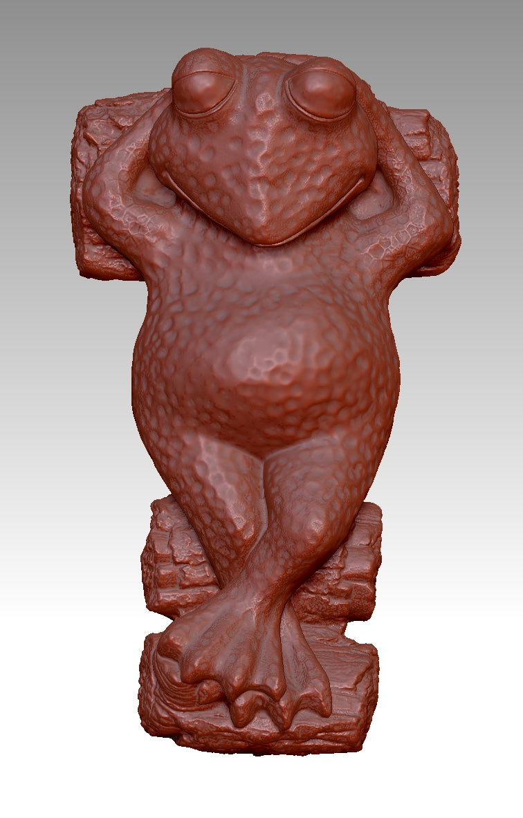 Frog Fun Radiance Realm