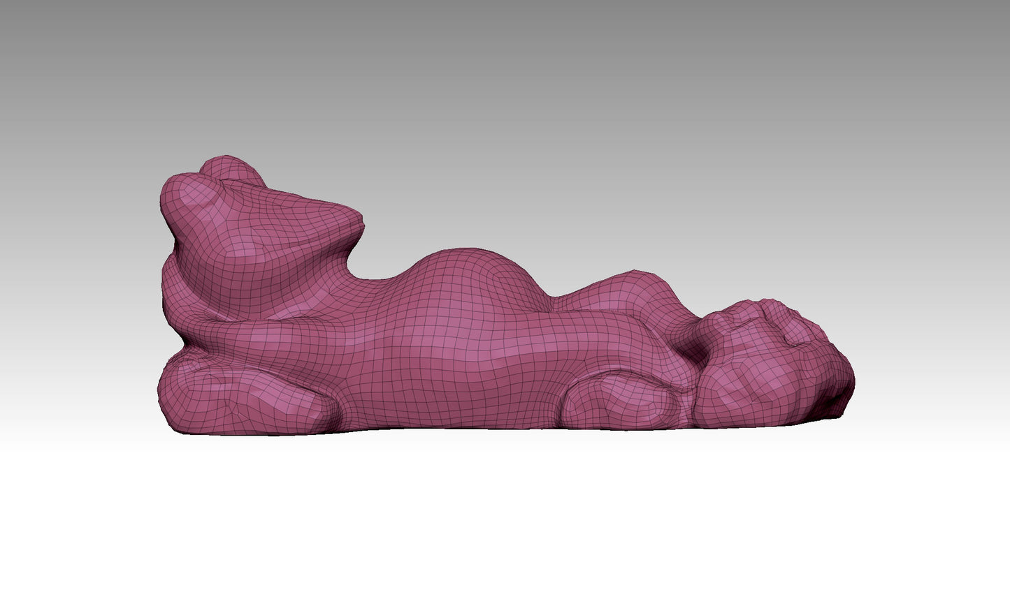 Frog Fun Radiance Realm