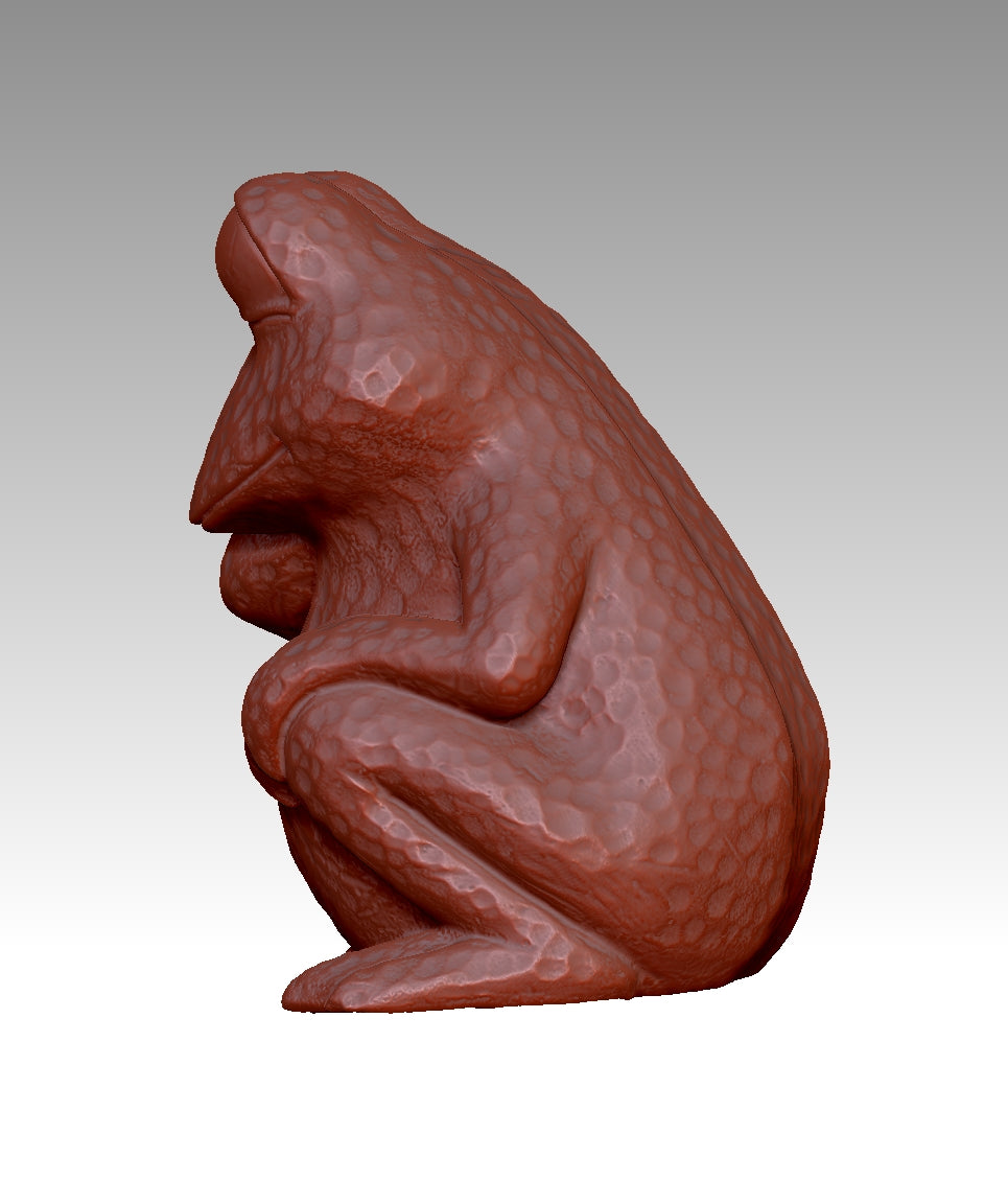 3D frog model