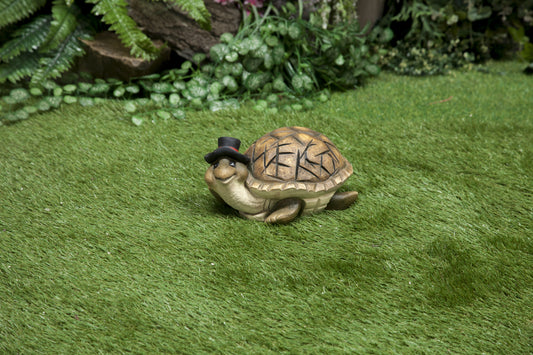 3D turtle model