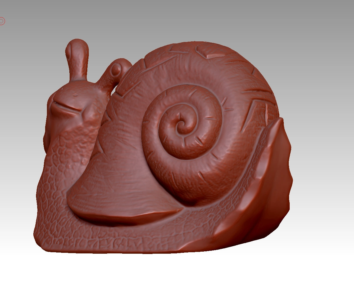 snail