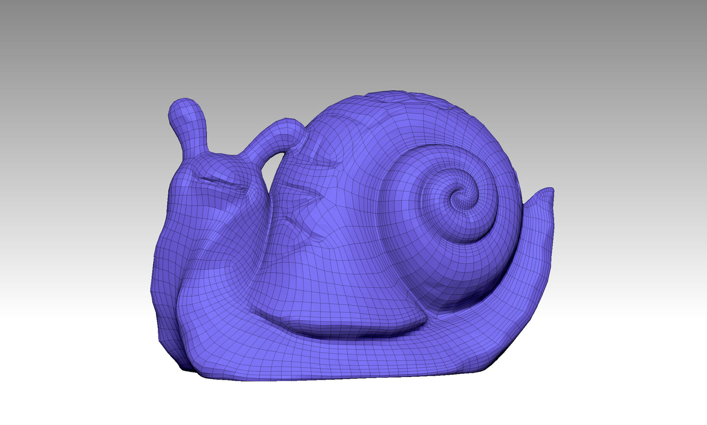 snail