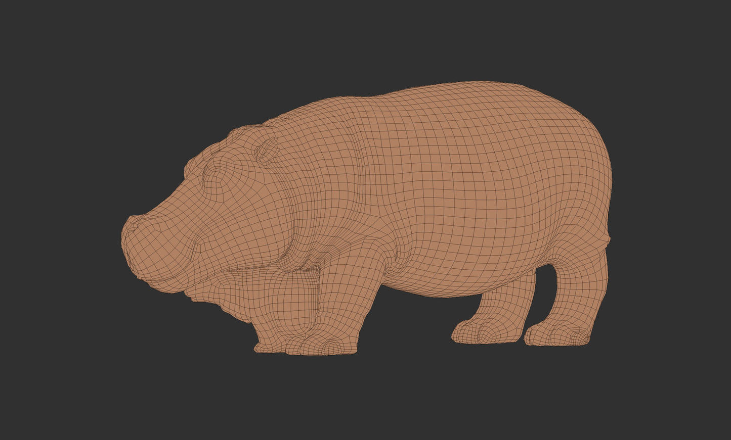 hippo 3D model