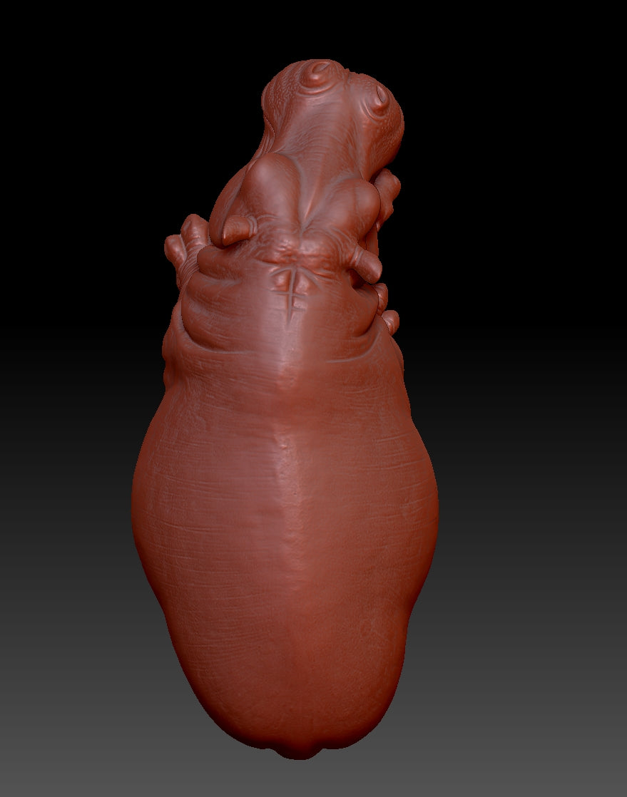 hippo 3D model