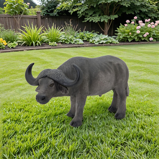 african buffalo 3Dmodel