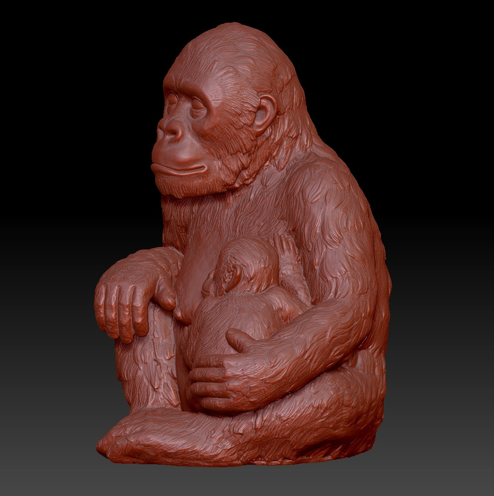 chimpanzee 3D model