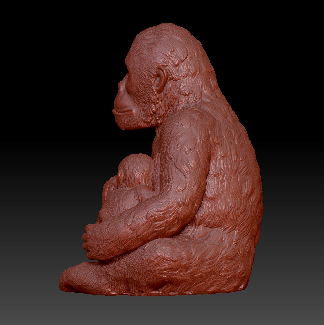 chimpanzee 3D model