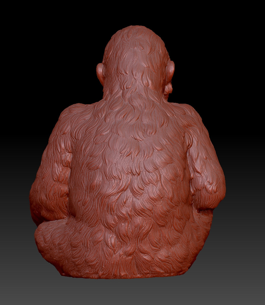 chimpanzee 3D model