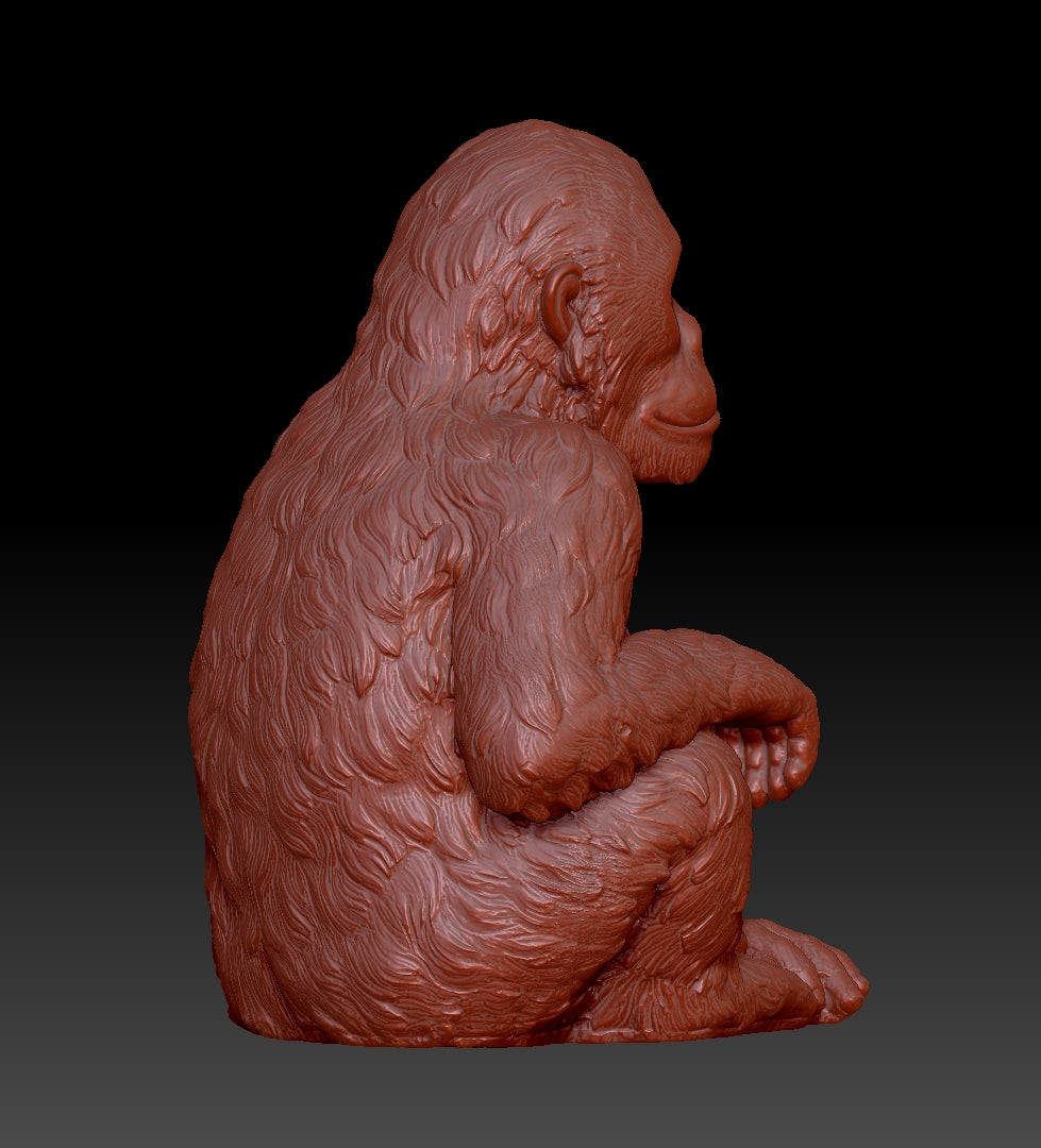 chimpanzee 3D model