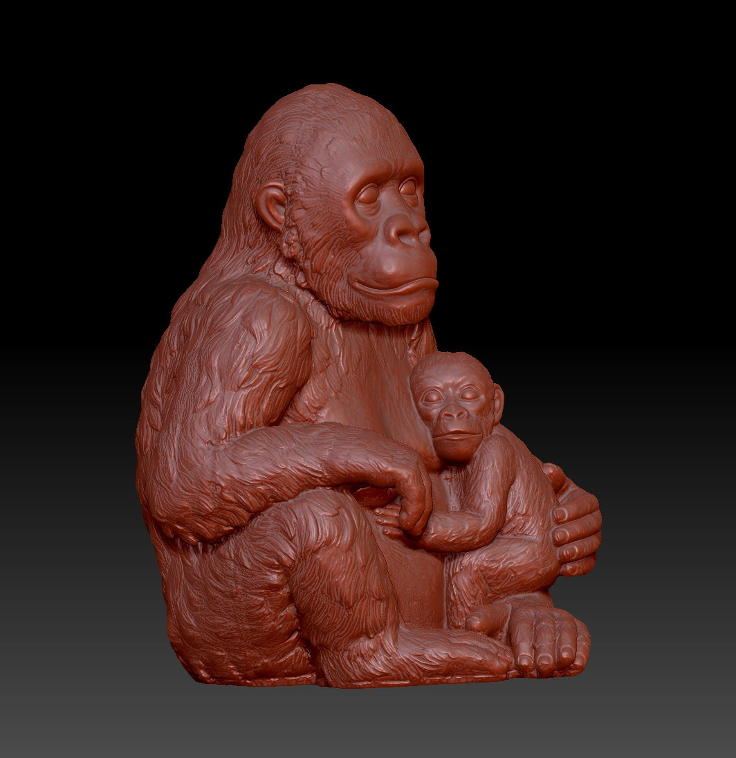 chimpanzee 3D model