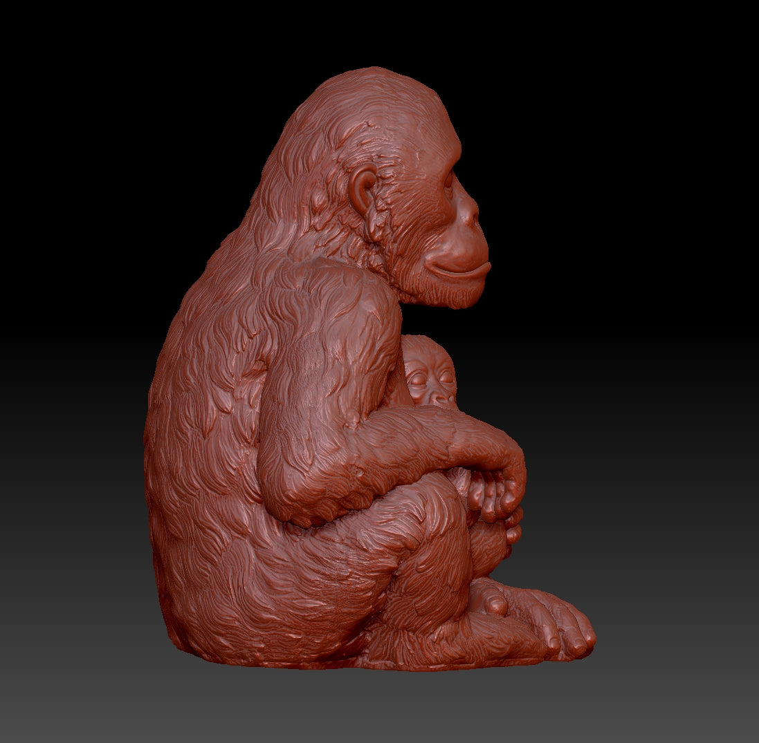 chimpanzee 3D model