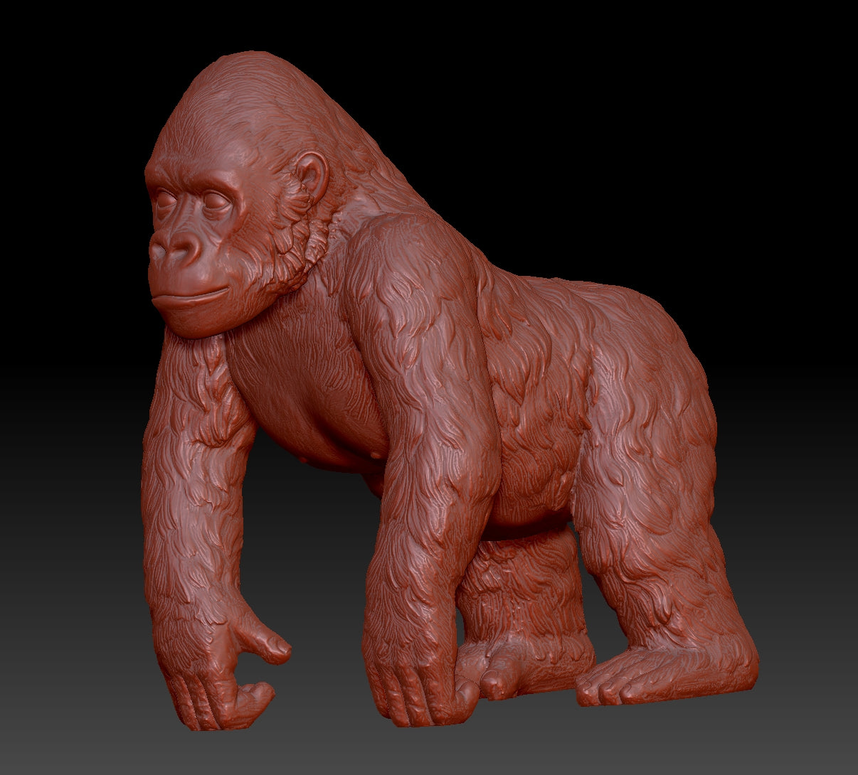 chimpanzee 3Dmodel