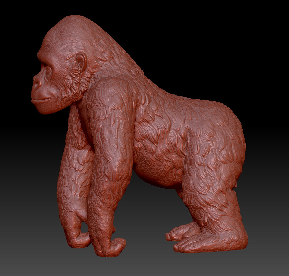 chimpanzee 3Dmodel