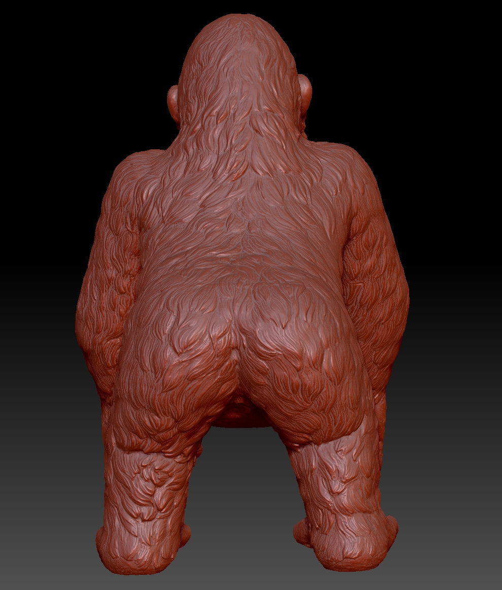 chimpanzee 3Dmodel