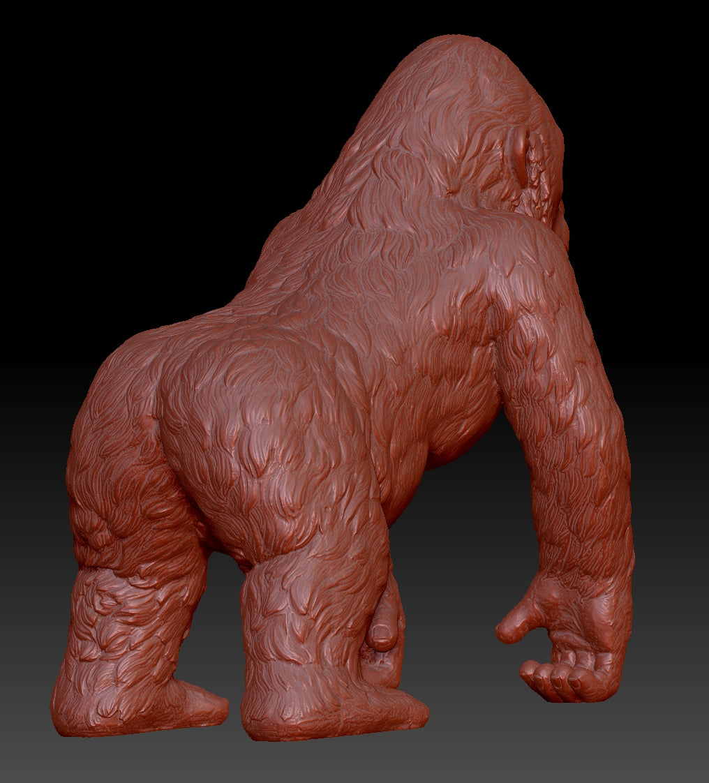 chimpanzee 3Dmodel