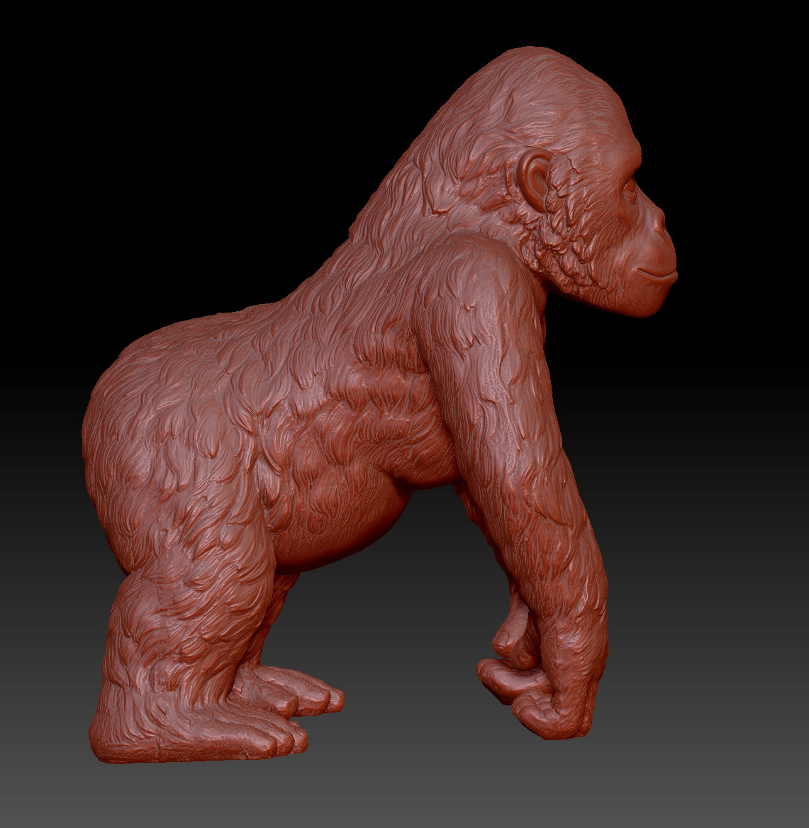 chimpanzee 3Dmodel