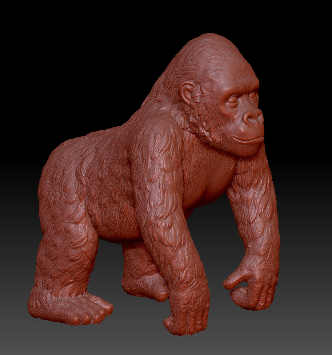 chimpanzee 3Dmodel