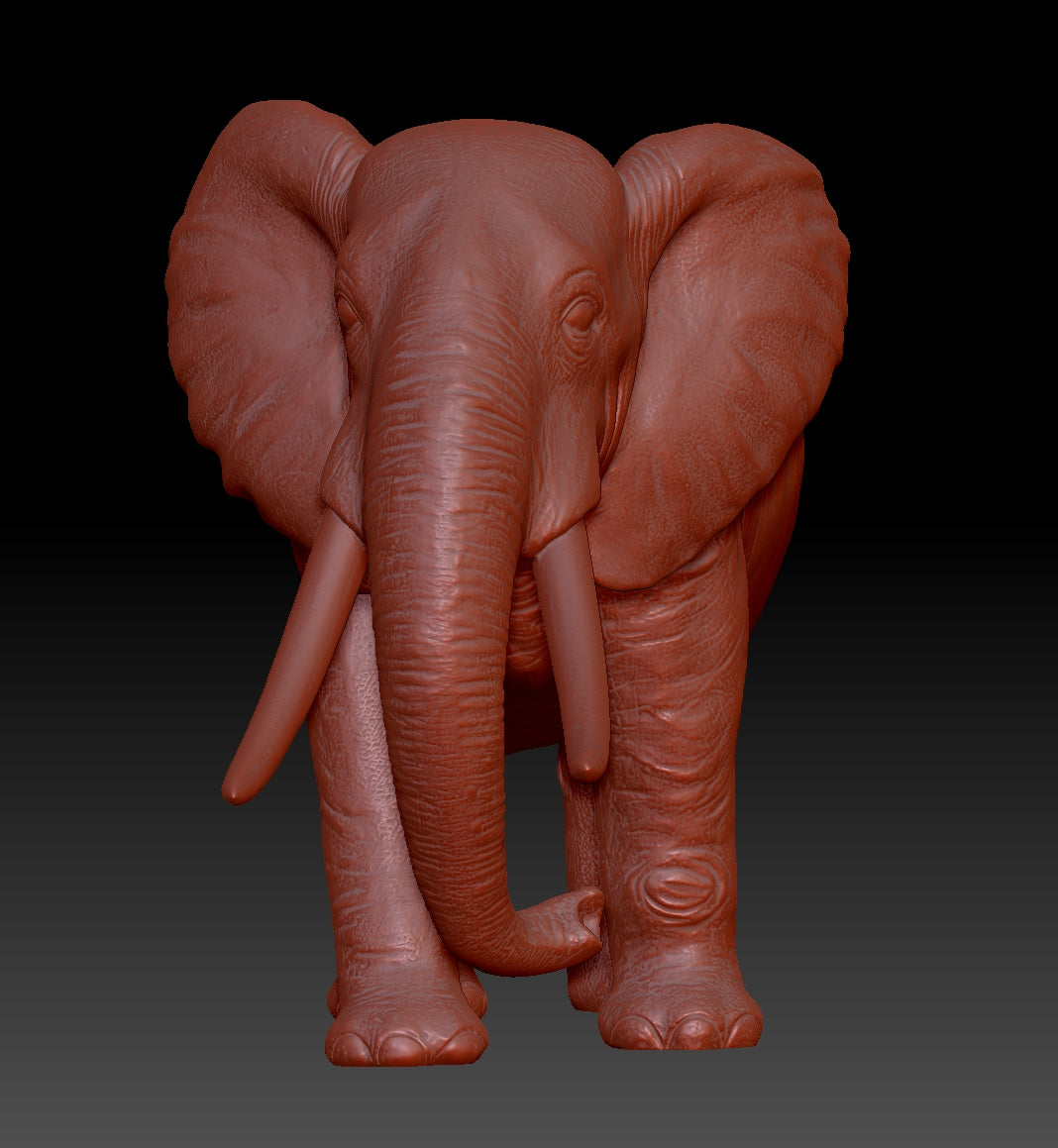 elephant 3Dmodel