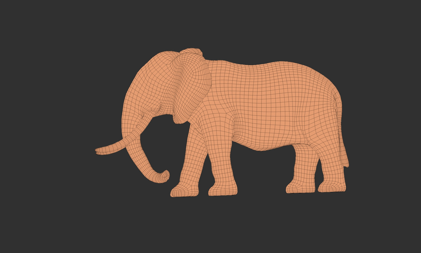 elephant 3Dmodel