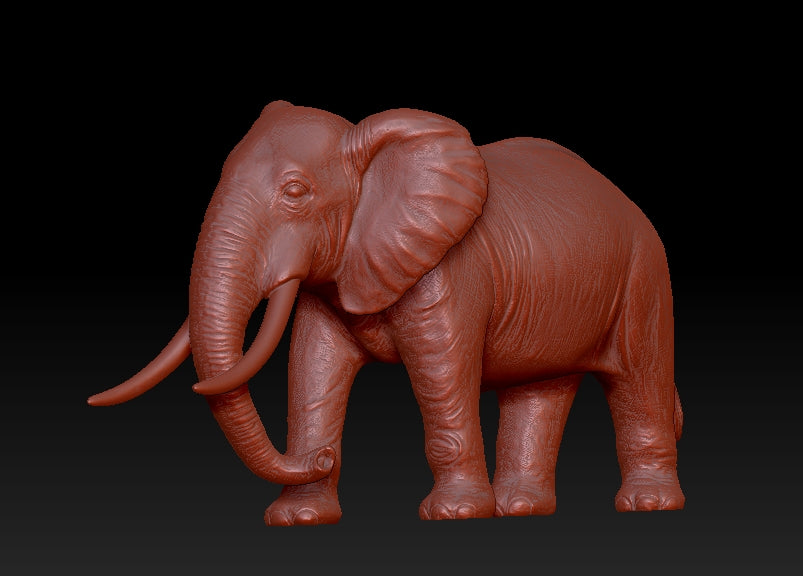 elephant 3Dmodel